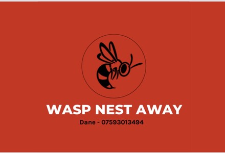 Wasp Nest Removal, Hertford, hertfordshire